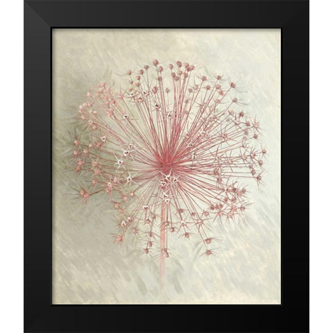 Allium Seedhead I Black Modern Wood Framed Art Print by Verdonck, Elisabeth