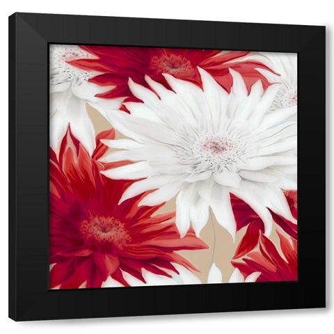 Elation II Black Modern Wood Framed Art Print with Double Matting by Scaffardi, Sally