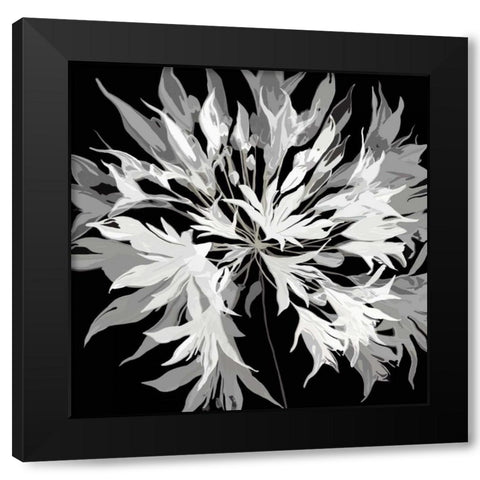 Radiance I Black Modern Wood Framed Art Print by Scaffardi, Sally