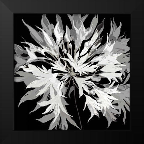 Radiance I Black Modern Wood Framed Art Print by Scaffardi, Sally