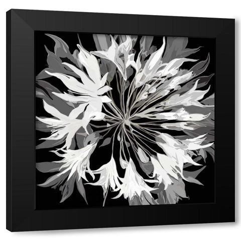 Radiance II Black Modern Wood Framed Art Print with Double Matting by Scaffardi, Sally