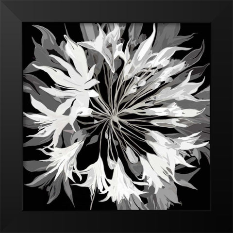 Radiance II Black Modern Wood Framed Art Print by Scaffardi, Sally