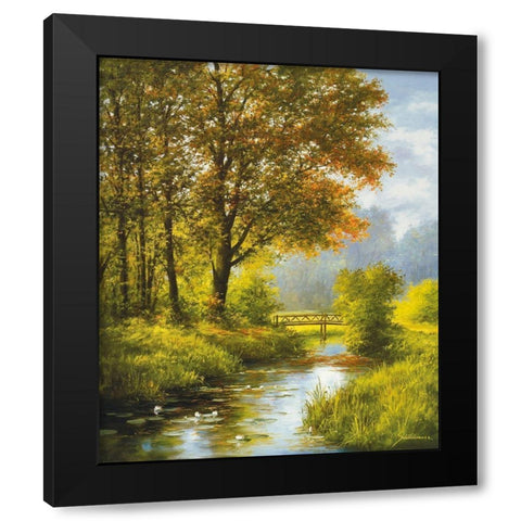 DREAMY CREEK II Black Modern Wood Framed Art Print by Schoelnhammer, Heinz
