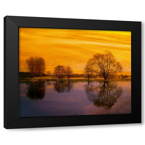 Afterglow II Black Modern Wood Framed Art Print by Weissing, Gerd