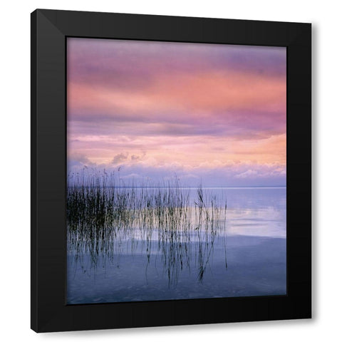 SETTING SUN I Black Modern Wood Framed Art Print by Weissing, Gerd