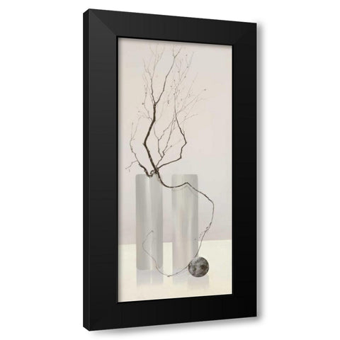 Slender Twigs IV Black Modern Wood Framed Art Print with Double Matting by Wonder, Alice