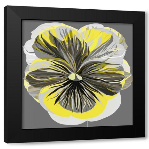 Pansies I Black Modern Wood Framed Art Print by Scaffardi, Sally