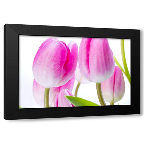 Pink I Black Modern Wood Framed Art Print by Warminski