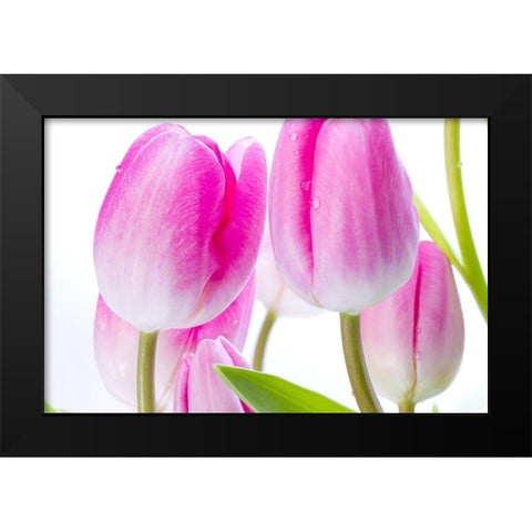 Pink I Black Modern Wood Framed Art Print by Warminski