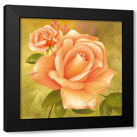 Splendour Black Modern Wood Framed Art Print with Double Matting by Fasani
