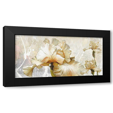 VANILLA IRIS I Black Modern Wood Framed Art Print with Double Matting by Sestillo, Enrico