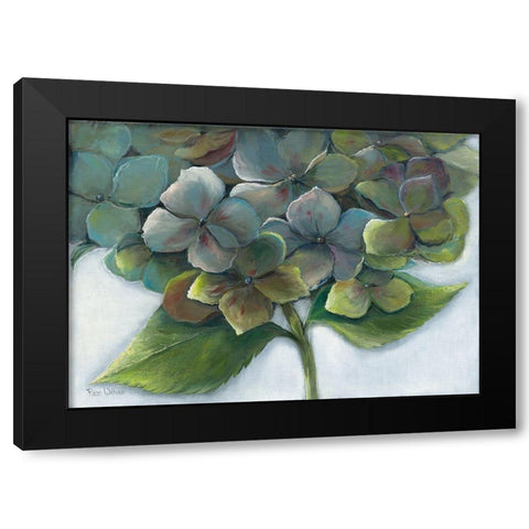 HYDRANGEA II Black Modern Wood Framed Art Print by Withaar, Rian