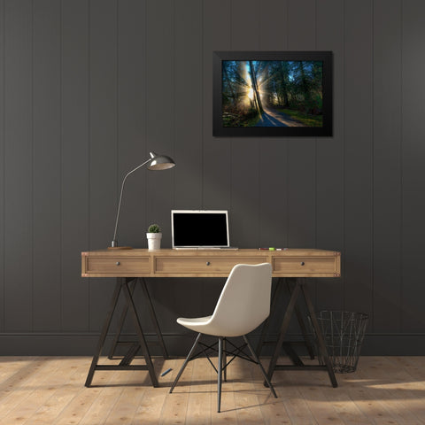 FOREST SUN RAYS Black Modern Wood Framed Art Print by Kostka, Vladimir