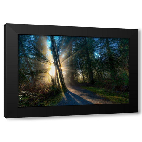 FOREST SUN RAYS Black Modern Wood Framed Art Print by Kostka, Vladimir