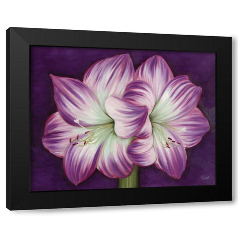 Purple Amaryllis Black Modern Wood Framed Art Print with Double Matting by Lake, Kaye