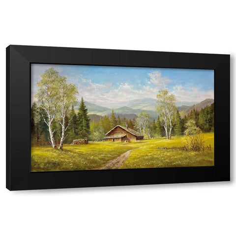 SUMMER SHADOWS Black Modern Wood Framed Art Print with Double Matting by Glassl, Helmut