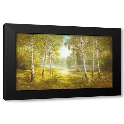 POND SPINKA Black Modern Wood Framed Art Print by Glassl, Helmut