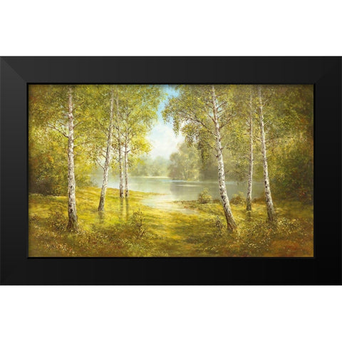 POND SPINKA Black Modern Wood Framed Art Print by Glassl, Helmut