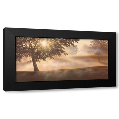 RURAL STUDY I Black Modern Wood Framed Art Print with Double Matting by Walsh, Peter