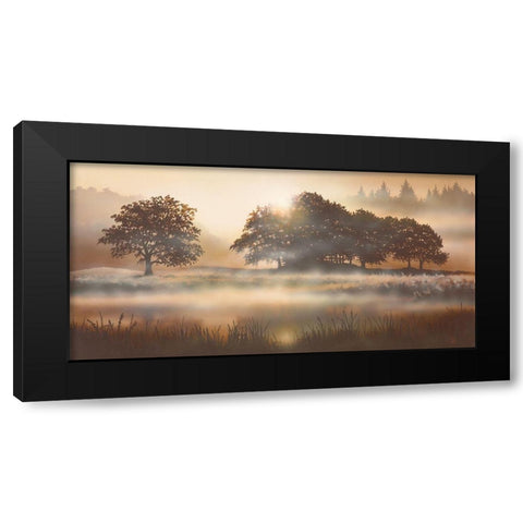 RURAL STUDY II Black Modern Wood Framed Art Print with Double Matting by Walsh, Peter