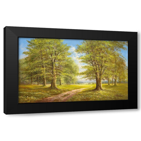 ROMANTIC LANE I Black Modern Wood Framed Art Print by Glassl, Helmut