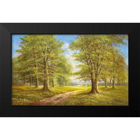 ROMANTIC LANE I Black Modern Wood Framed Art Print by Glassl, Helmut