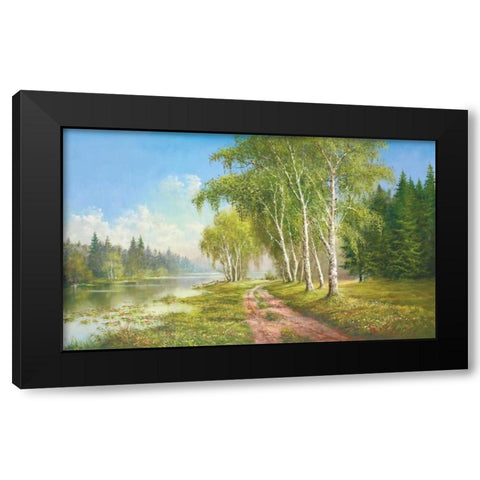 Path At The Lake Black Modern Wood Framed Art Print by Glassl, Helmut