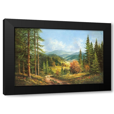 ROMANTIC VALLEY Black Modern Wood Framed Art Print with Double Matting by Glassl, Helmut