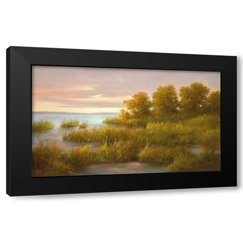 MISTY LAKE I Black Modern Wood Framed Art Print with Double Matting by Fasani