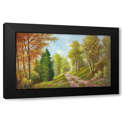 MOUNTAIN PATH Black Modern Wood Framed Art Print by Glassl, Helmut