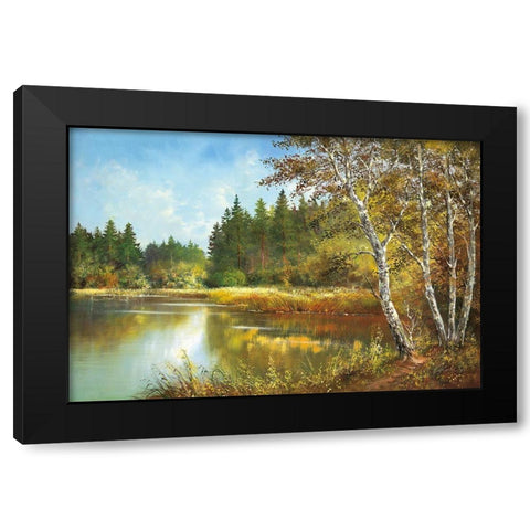 SECRET POND Black Modern Wood Framed Art Print with Double Matting by Glassl, Helmut