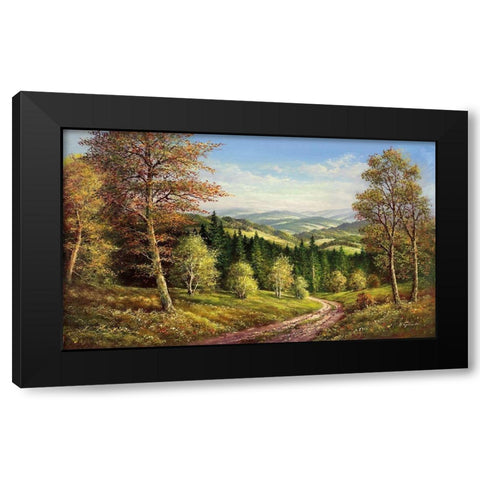 AUGUST SHADOWS Black Modern Wood Framed Art Print by Glassl, Helmut