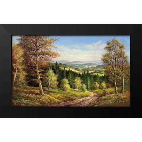 AUGUST SHADOWS Black Modern Wood Framed Art Print by Glassl, Helmut