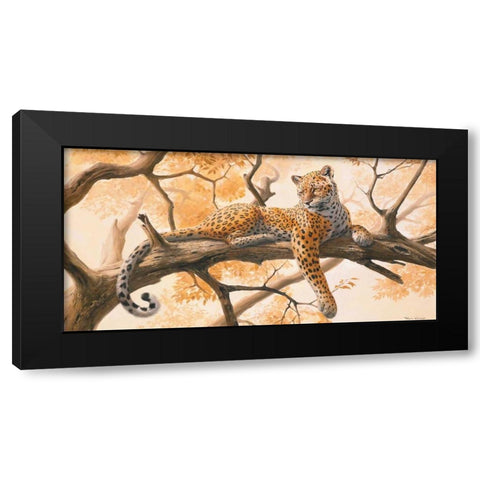 Laying tiger Black Modern Wood Framed Art Print with Double Matting by Norman, Frank