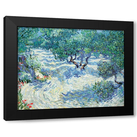 Van Gogh, Vincent Black Modern Wood Framed Art Print with Double Matting by Olive Orchard