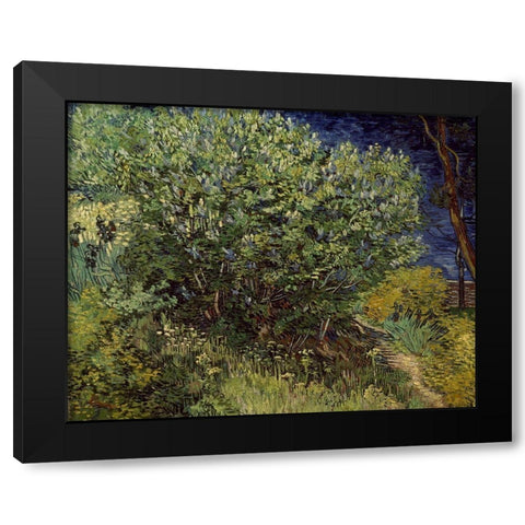 Lilac Bush, 1889 Black Modern Wood Framed Art Print by Van Gogh, Vincent