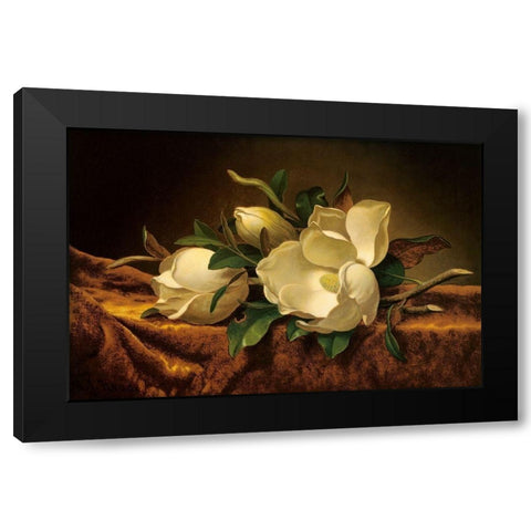 Magnolia On Gold Velvet Cloth Black Modern Wood Framed Art Print by Heade, Martin Johnson
