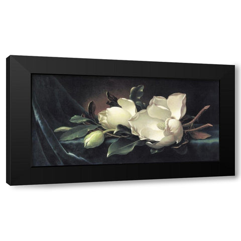 Magnolia Blossom On Blue Velvet Black Modern Wood Framed Art Print with Double Matting by Heade, Martin Johnson