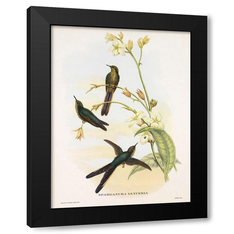 Sparganura Glyceria Black Modern Wood Framed Art Print by Ashley, Aaron