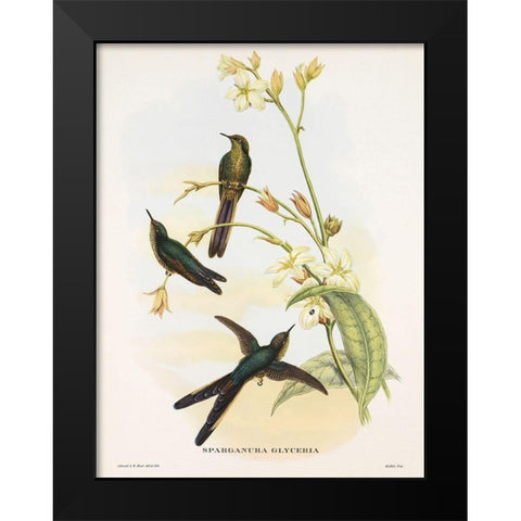 Sparganura Glyceria Black Modern Wood Framed Art Print by Ashley, Aaron