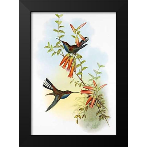 UroMuseumoa Bougieri Black Modern Wood Framed Art Print by Ashley, Aaron