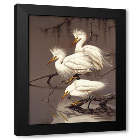 Snowy Egrets Black Modern Wood Framed Art Print by Robertson,