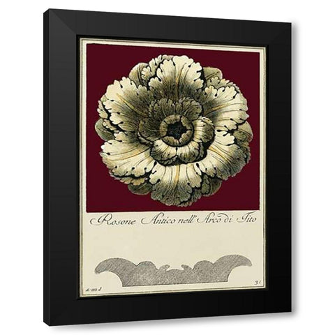 Rosone Antico III Black Modern Wood Framed Art Print by Guerra