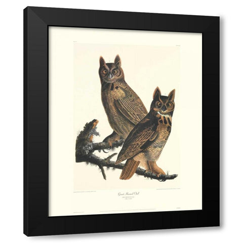 Great Horned Owl (decorative border) Black Modern Wood Framed Art Print by Audubon, John James