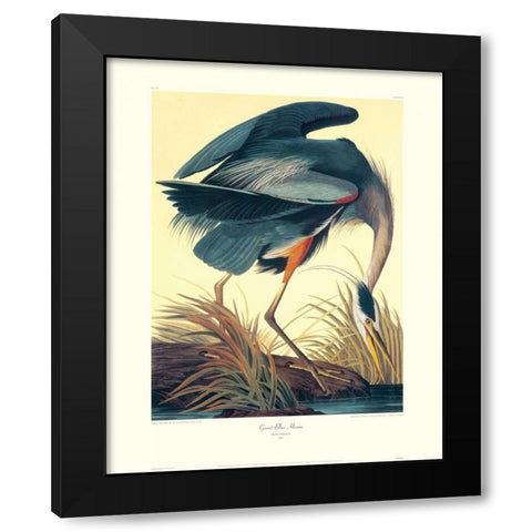 Great Blue Heron (decorative border) Black Modern Wood Framed Art Print by Audubon, John James