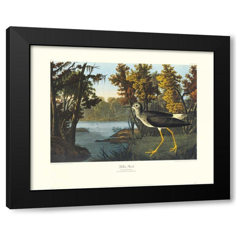 Yellow Shank (decorative border) Black Modern Wood Framed Art Print by Audubon, John James