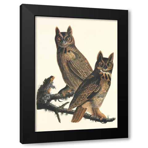 Great Horned Owl Black Modern Wood Framed Art Print by Audubon, John James