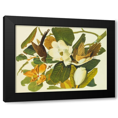 Black-Billed Cuckoo Black Modern Wood Framed Art Print by Audubon, John James