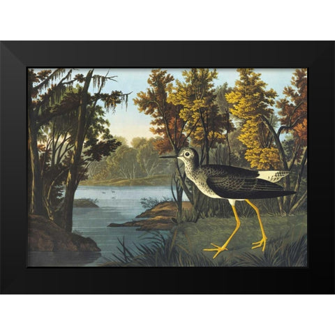 Yellow Shank Black Modern Wood Framed Art Print by Audubon, John James