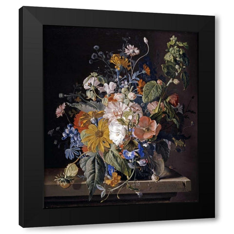 Poppies, Hollyhock, Morning Glory, Viola, Daisies Black Modern Wood Framed Art Print with Double Matting by Van Huysum, Jan